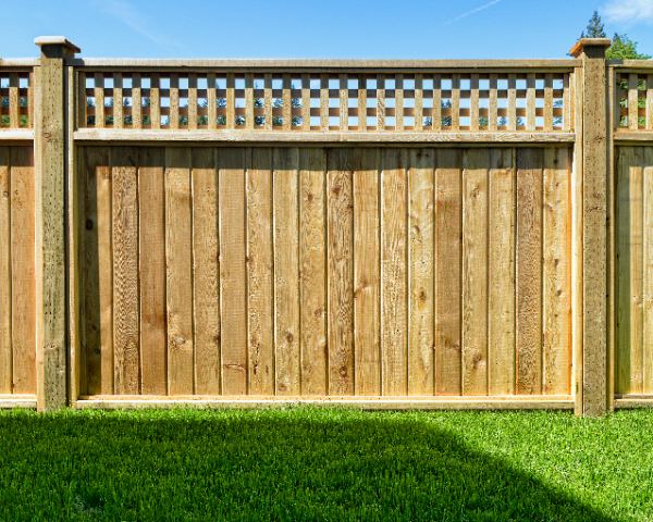 section of a lattice top wood fence in a yard in Grange Hill East, Guelph, Ontario